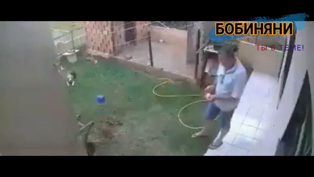 Дядя Петя и Злой хомяк смотреть онлайн