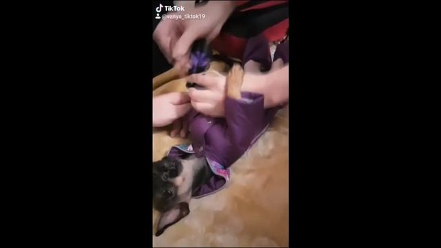 Люди добрые спасите помогите атакуют смотреть онлайн