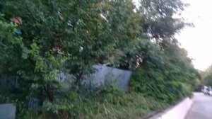 Отдых в Лоо в гостевом домике Ирина