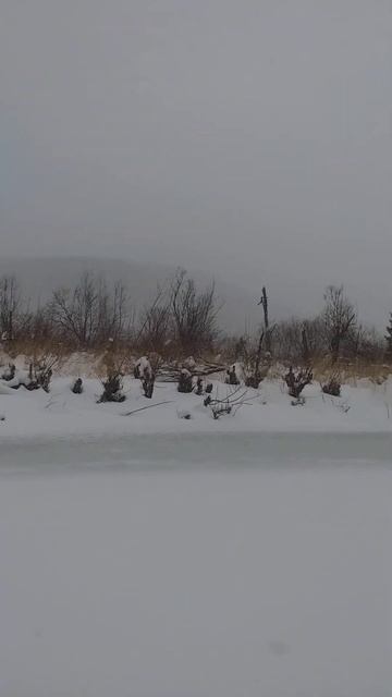 рыбалка на реке мана