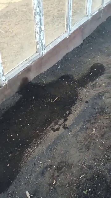 начинаем заниматься огородом смотреть онлайн