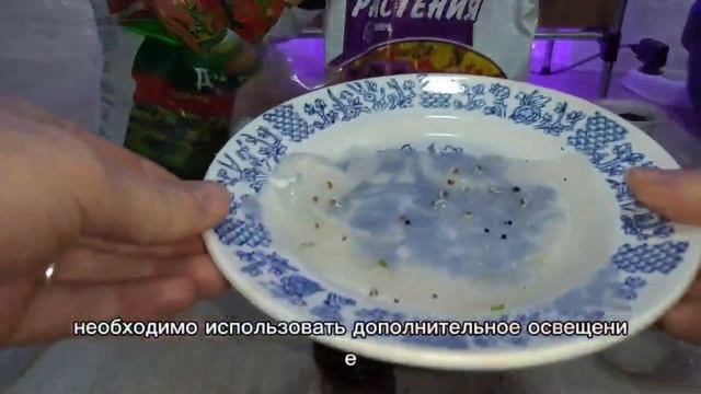 Листья огурцов желтеют смотреть онлайн