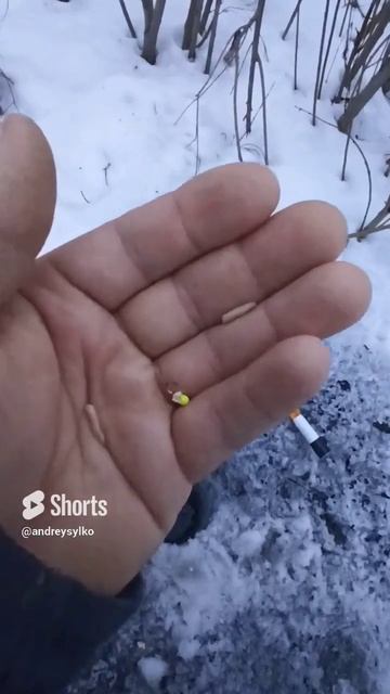 #рыбалка #озеро #красота #отдых