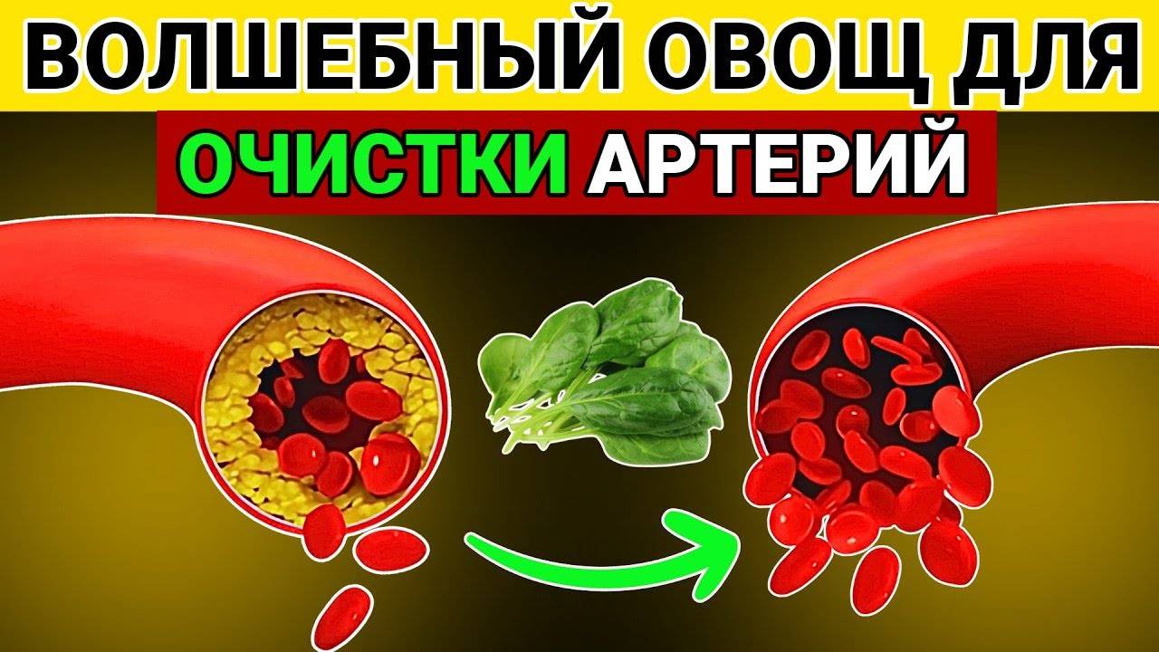 ЭТИ 7 ОВОЩЕЙ СПАСУТ ВАШЕ СЕРДЦЕ! Врачи в шоке – они снижают риск инфаркта на 70%!
