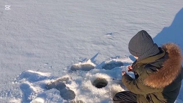 Ротан на городском пруду смотреть онлайн