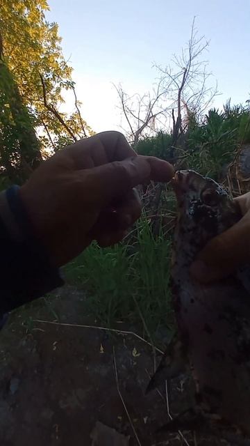 Хороший лещ на реке на поплавок #рыбалка #лещ #рыбалка20 смотреть онлайн