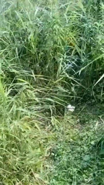 Китайские воблеры в бесклевье смотреть онлайн