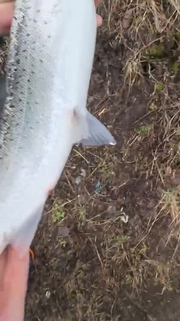 18 апреля 2025 г. смотреть онлайн