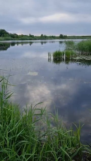 Новое место для рыбалки в День рыбака! #отдых #рыбалка смотреть онлайн