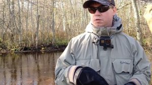 Мои форелевые новинки 2024. Graphiteleader 24 Bellezza ux. Shimano Trout One NS.