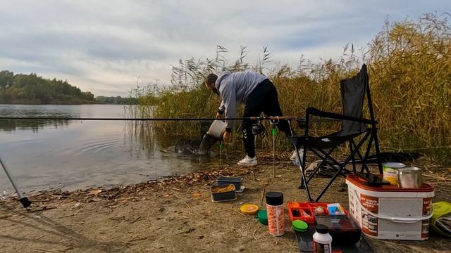 Осенний Лещь! Секреты Фидерной ловли в Октябре!🐟 смотреть онлайн