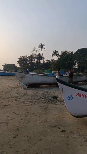 Рыбаки в Гоа готовятся к вечерней рыбалке #shorts смотреть онлайн