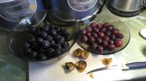 Чернослив или обычная слива  -  сравнение сортов