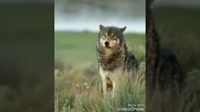 12 августа 2020 г.(3)