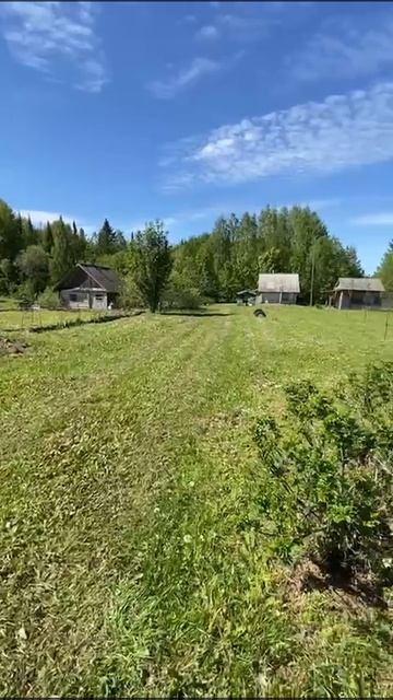 11966193 смотреть онлайн
