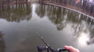 Новая катушка NAUTILUS MONSTER PIKE. Катушка для БИГ-бейтов