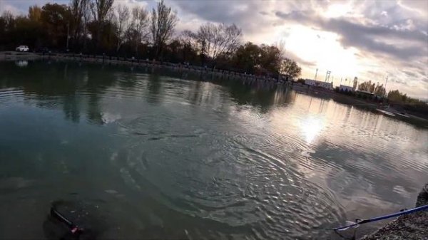 Спиннинг Norstream Troutist-X 652UL в деле