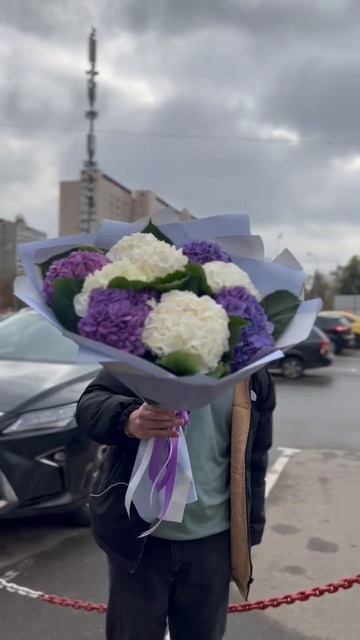 Букет гортензия из 9 штук смотреть онлайн