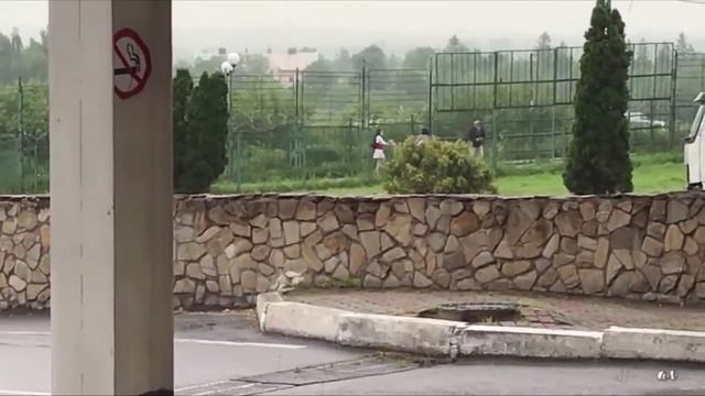 Прикол на Украине Прямо вво время пресс конференции представителя Госпогранслужбы Украины ... смотреть онлайн