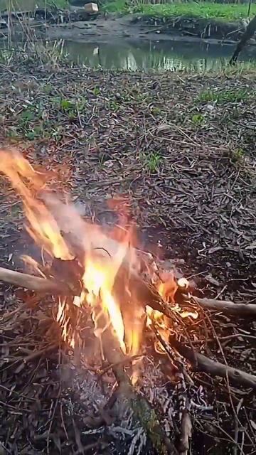 #бассейн #мелстрой # костёр смотреть онлайн