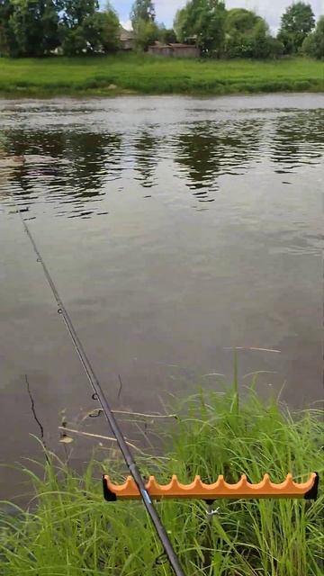 #рыбалка #природа #красивая смотреть онлайн