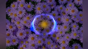 Каспийский Груз - Любовь HD1080