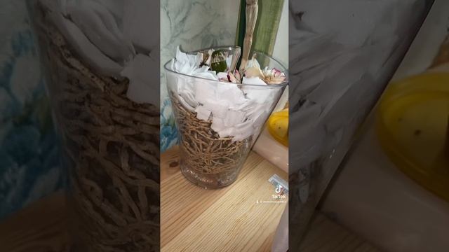 Дендробиум из последней покупки решил меня порадоват? смотреть онлайн