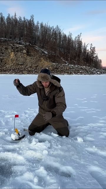 Очень СТРАННЫЙ цвет. Почему он такой? #рыбалка #жерлицы смотреть онлайн