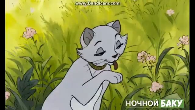 Джалал Бакинский - Бакинское Попурри смотреть онлайн