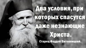 Два условия, при которых спасутся даже незнающие Христа. Старец Фаддей Витовницкий.