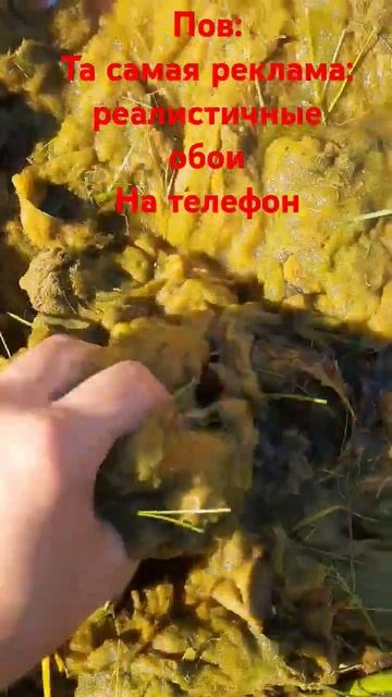 я скачал реалистичные обои на телефон. (мой поко не выд смотреть онлайн