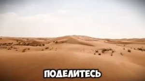 🔥 СЕКРЕТНЫЕ ВЕЧЕРИНКИ ШЕЙХОВ В ДУБАЕ! Шокирующая пра?