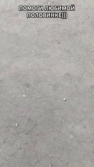 #мамай #automobile #animaisengracados #скай #топ #rir #тцк #рыбалка #tentenao смотреть онлайн