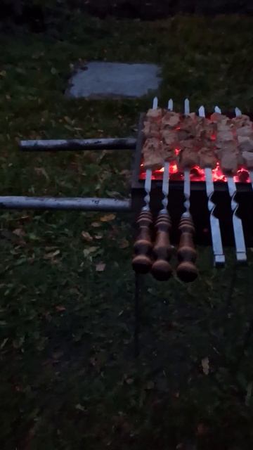 природа belarus беларусь грибы forest витебск леса минс?