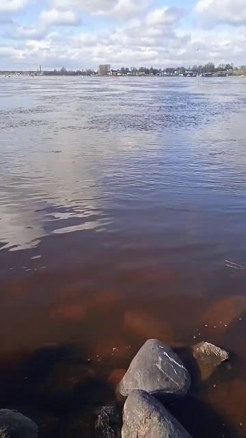 Рыбалка на реке Волхов 29 апреля 2023г. Оперативная обста смотреть онлайн