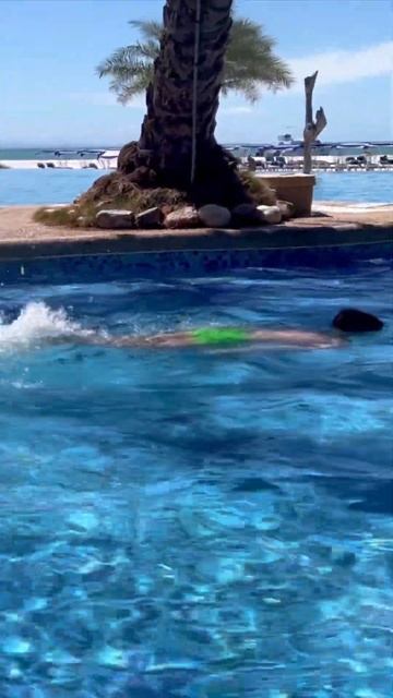 Когда разрешили поплавать во взрослом бассейне #danieldomi смотреть онлайн