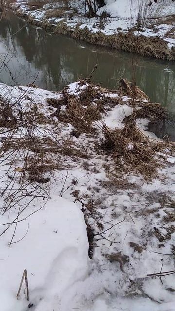 Лобное место рыбаков смотреть онлайн