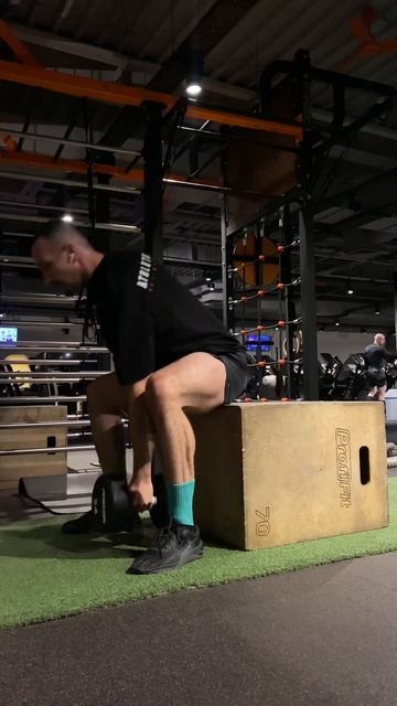 Рывок гантели одной рукой сидя смотреть онлайн