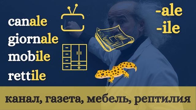 Итальянский с нуля: род существительных и прилагатель