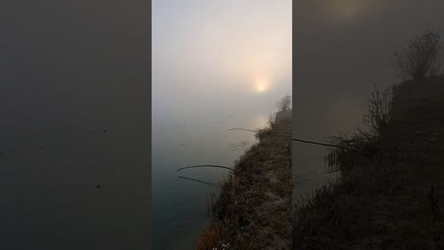 Жерех осенью рыбалка с ночевкой