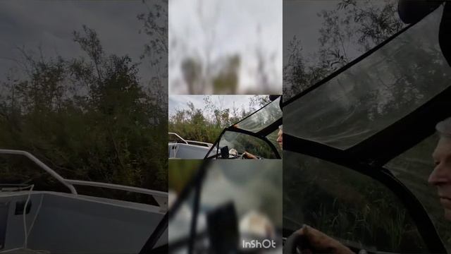 Рыбалка на Каме с друзьями смотреть онлайн