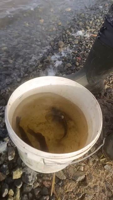 Беларусь, ТЭЦ 5