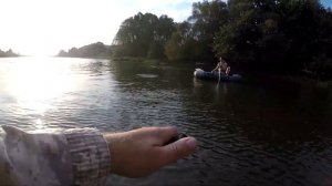 ВОТ ЭТО ПОКЛЁВКИ ! ЛОВЛЯ ЖЕРЕХА НА РАТЛИНЫ .  РЕКА БЕРЕЗ