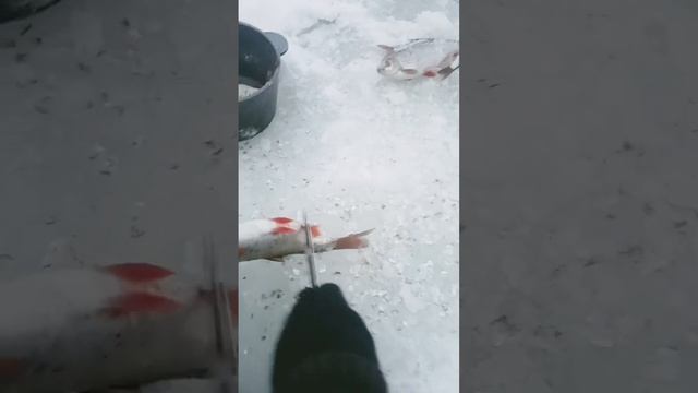 ЧИКИ ПИКИ НА ЖАРËХУ смотреть онлайн