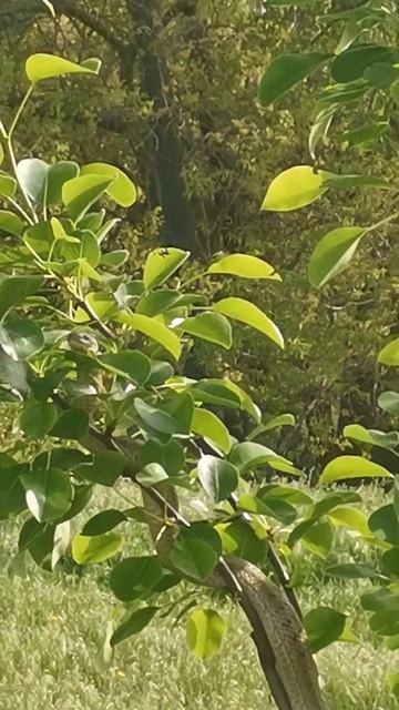 Есть такие, кто не боится змей?) ну красотка, ведь, не?)) смотреть онлайн