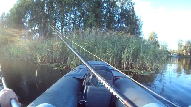 DAIWA или SHIMANO. Zillion против Scorpion DC. Ловля щуки. Cadence Vigor Shimano