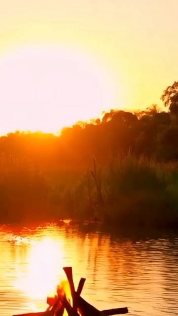 звук реки #река #ручей #рыбалка смотреть онлайн