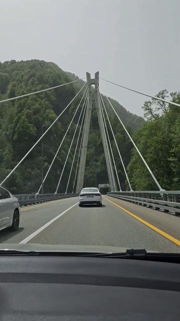 Краснодарский край — это прекрасно! 😍☀️ #Краснодарс смотреть онлайн