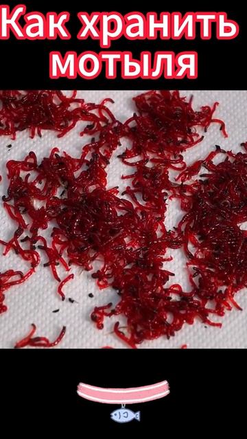 Как хранить мотыля смотреть онлайн