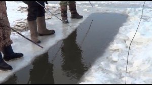 Ловля Миноги в Хабаровском Крае